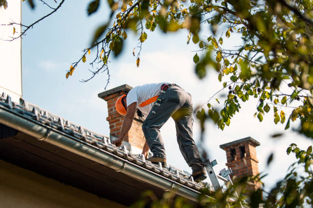 Best Storm Damage Roof Repair  in Stickney, IL