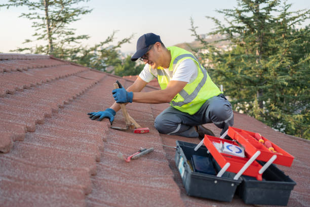 Best Storm Damage Roof Repair  in Stickney, IL